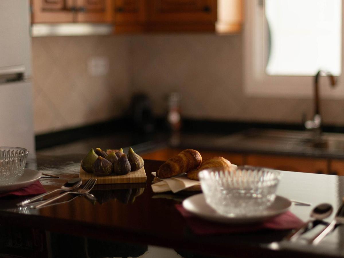 Casa Del Mayor بلايا هوندا المظهر الخارجي الصورة